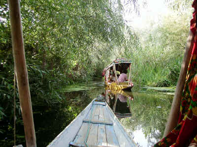 P7020312srinagar.jpg (632979 byte)