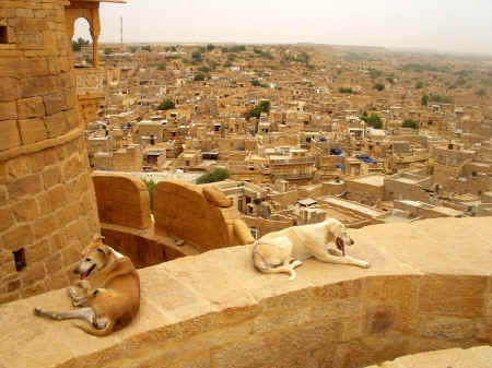 jaisalmerP6060101.jpg (344462 byte)